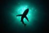 Банька  Для Подвохов - последнее сообщение от sharkus