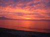 DSC00520.jpg
