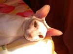 post_55413_1260960475.jpg