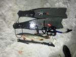 20130102_002124.jpg
