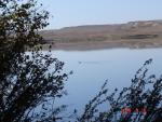Dsc00488.jpg