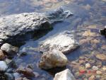 Dsc00499.jpg