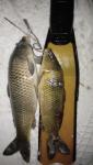 IMG_20200129_230557~12.jpg
