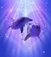dolphinlove.jpg