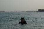 DSC07984.JPG