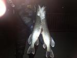 20130220_005533.jpg