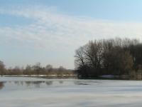 DSC00544.JPG