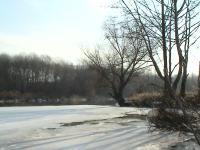 DSC00547.JPG