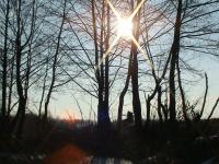 DSC00548.JPG