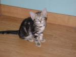 DSC00143.JPG