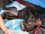 DSC03709.JPG
