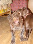 DSC03495.JPG