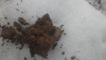 20160314_114040.jpg