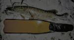 AirBrush_20200318184503~2.jpg
