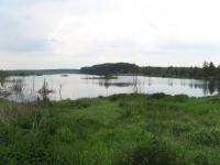 IMG_0005.JPG