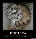 getImage.jpeg