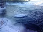 DSC00540.JPG