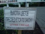 DSC00396.JPG