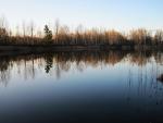 IMG_2054 1.jpg