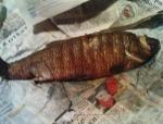 DSC00397.JPG