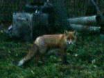 DSC00436.JPG