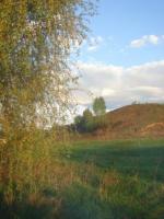 DSC09161.JPG