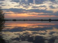 DSC09213.JPG