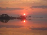 DSC09222.JPG