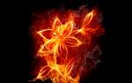 fiery_flower_02_2.jpg