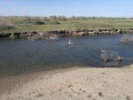 2013_05_09_050.jpg