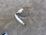 20140504_191852.jpg