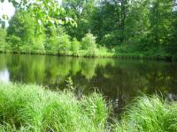 DSCN6519.JPG