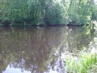 DSCN6522.JPG