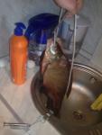 27062010207.jpg