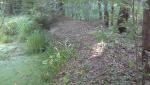20150726_164542.jpg