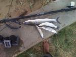 IMG_20130825_153806.jpg