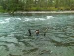 IMG_20130906_115531.jpg