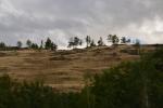 2-DSC_3548.JPG