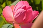 3-DSC_4063.JPG