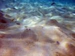 0_18eab_59288f1a_XL.jpg