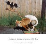 rakom.jpg