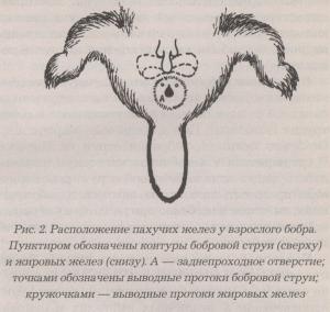 image2.jpg