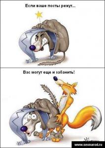 модераторы.jpg