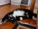 DSC01234.JPG