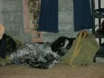 DSC00064.JPG