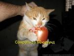 x_2e2a5565.jpg