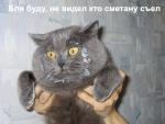 x_af2a39de.jpg