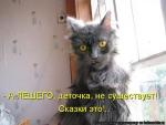 x_22778ffd.jpg