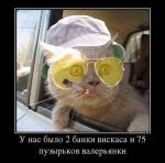 getImageCAINK3S9.jpg